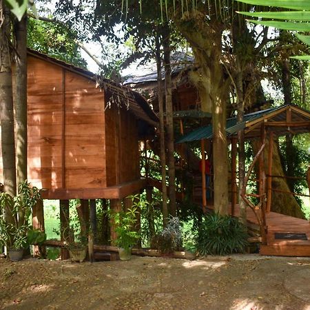 Vila Kumbuk Tree House Tissamaharama Exteriér fotografie