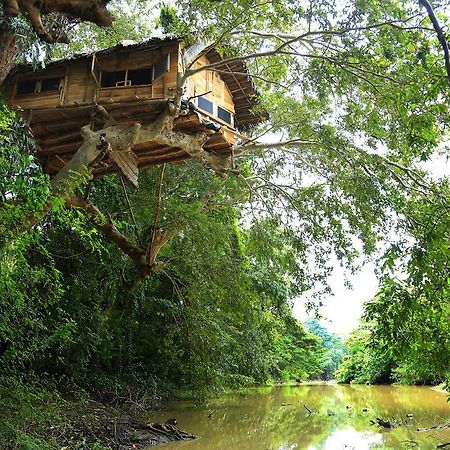 Vila Kumbuk Tree House Tissamaharama Exteriér fotografie