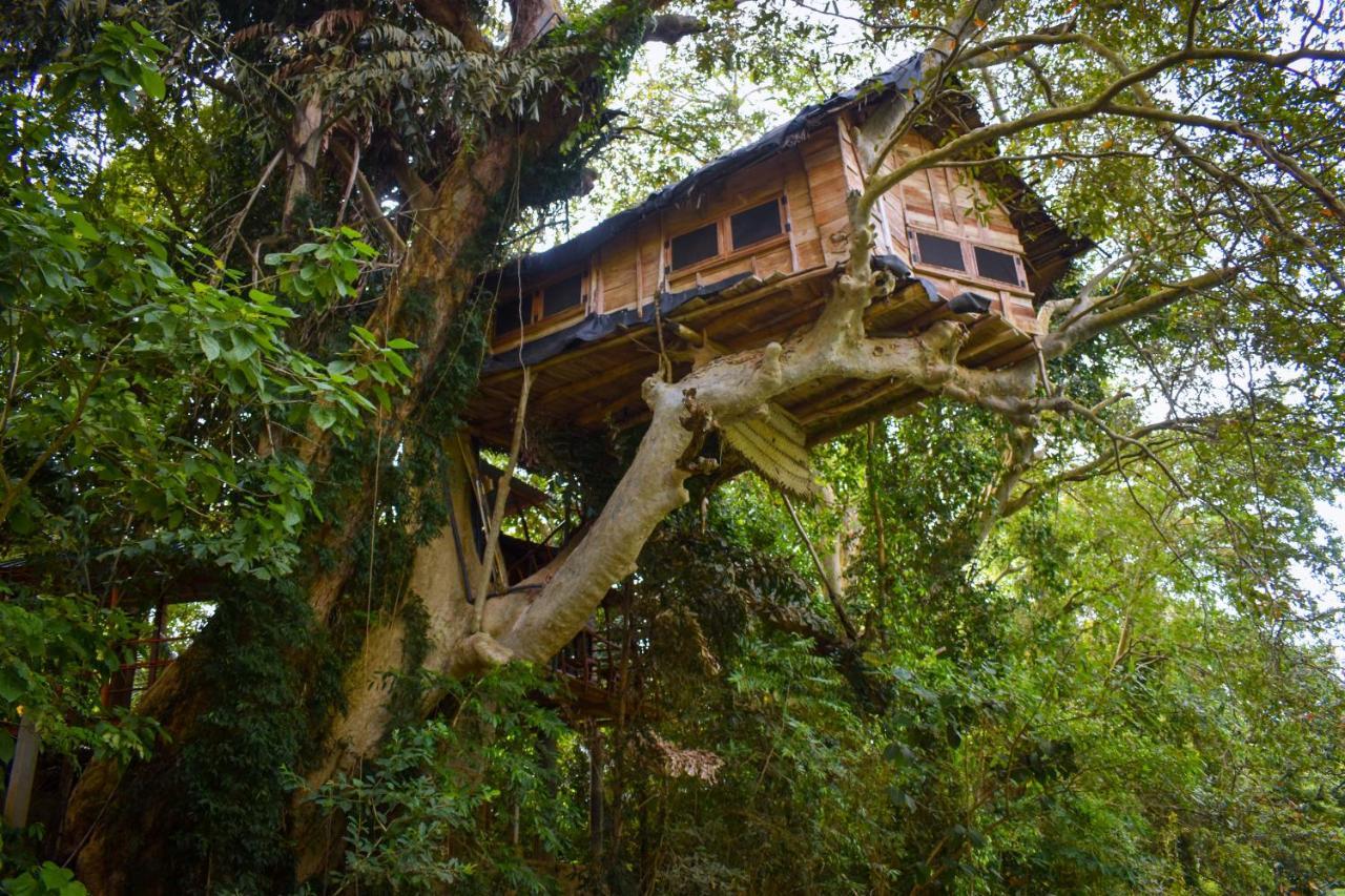 Vila Kumbuk Tree House Tissamaharama Exteriér fotografie