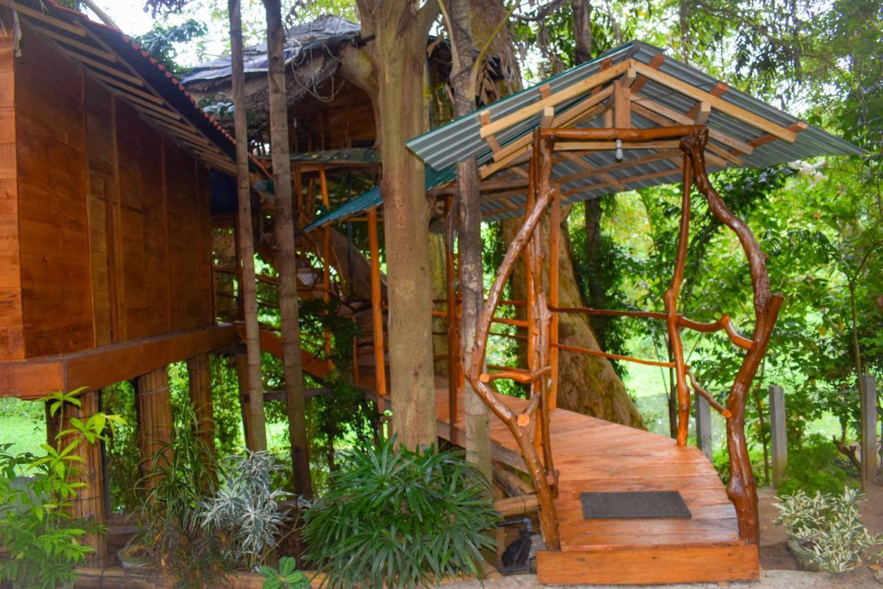 Vila Kumbuk Tree House Tissamaharama Exteriér fotografie