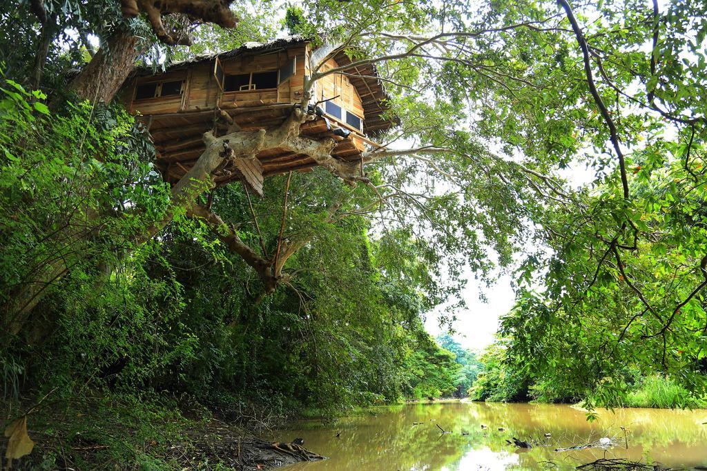 Vila Kumbuk Tree House Tissamaharama Exteriér fotografie