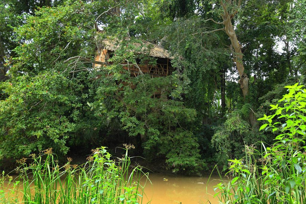 Vila Kumbuk Tree House Tissamaharama Exteriér fotografie