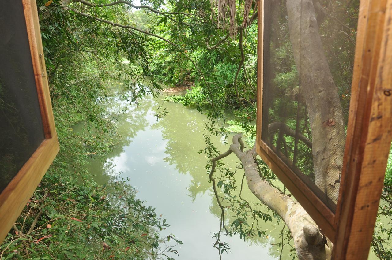 Vila Kumbuk Tree House Tissamaharama Exteriér fotografie