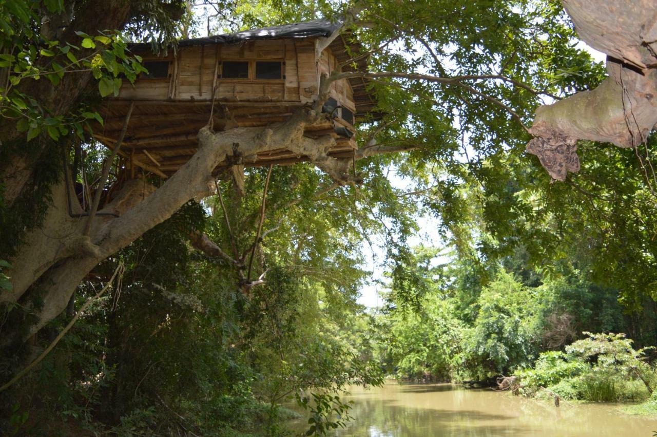 Vila Kumbuk Tree House Tissamaharama Exteriér fotografie