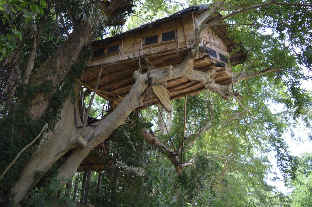 Vila Kumbuk Tree House Tissamaharama Exteriér fotografie